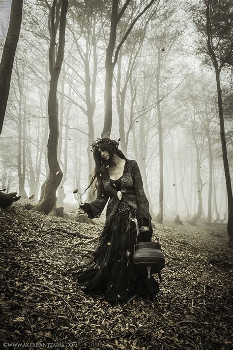 Forest witch mythology